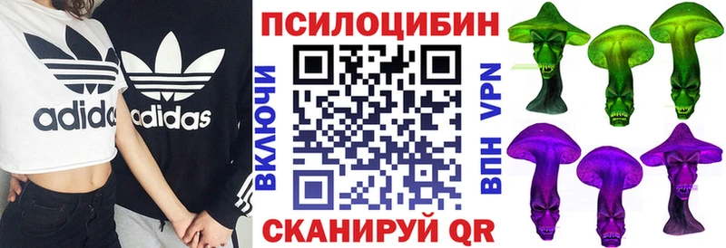 Псилоцибиновые грибы MAGIC MUSHROOMS  МЕГА зеркало  Фёдоровский 